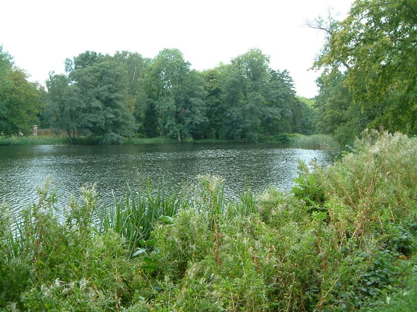 S_DSCF0064.JPG
