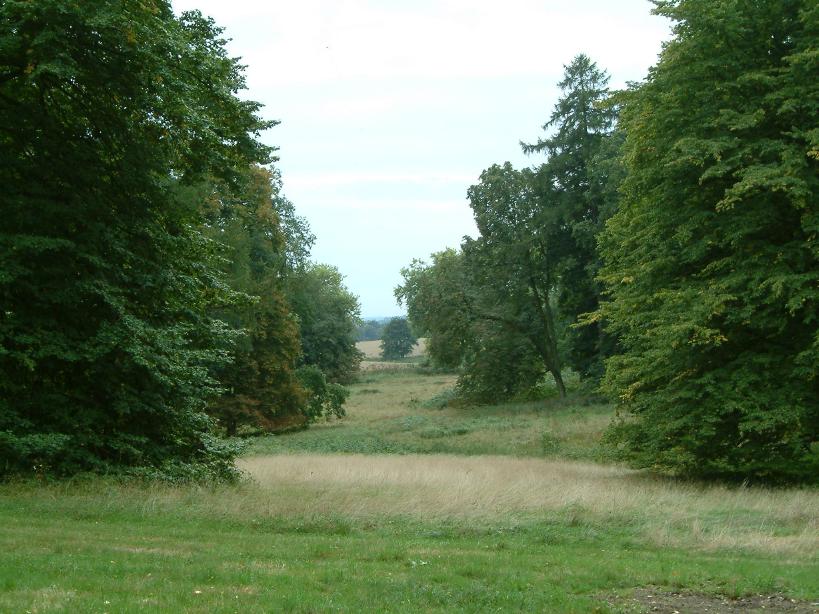 S_DSCF0066.JPG