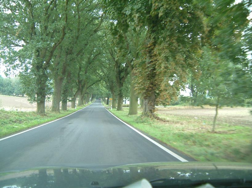 S_DSCF0071.JPG