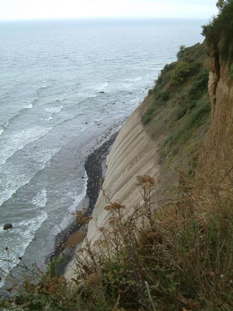 S_DSCF0084.JPG