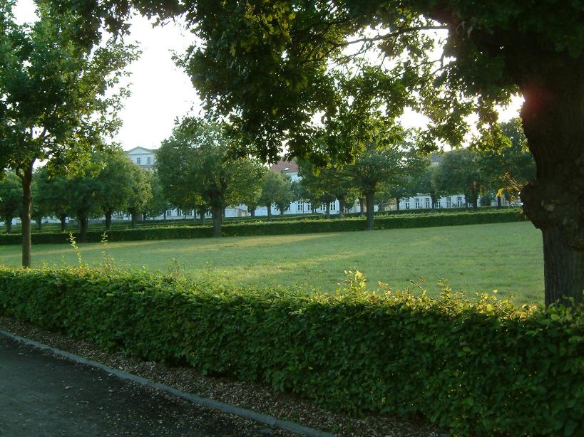 S_DSCF0098.JPG