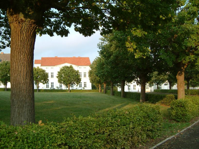 S_DSCF0099.JPG