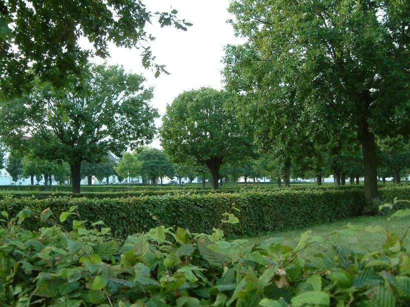 S_DSCF0103.JPG