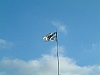 S_DSCF0038.JPG