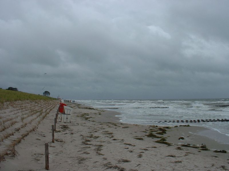 DSCF0083.JPG