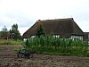 DSCF0079.JPG