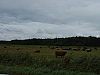 DSCF0082.JPG