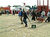 0029kopenhagenroskildebruessel2002.jpg