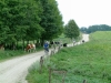 S_2004-08-17-0038.JPG