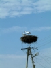 S_2004-08-18-0013.JPG