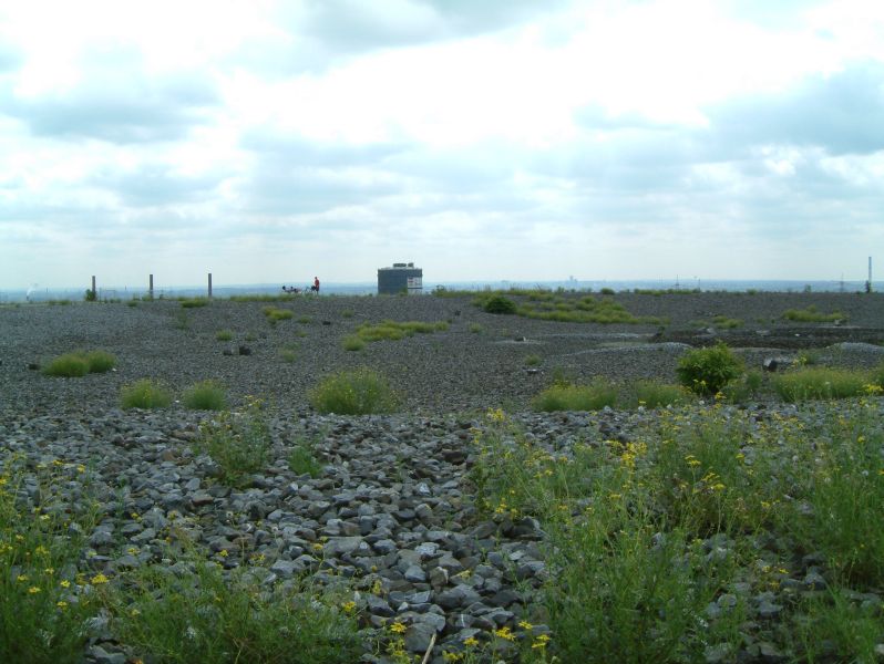 DSCF0014.JPG