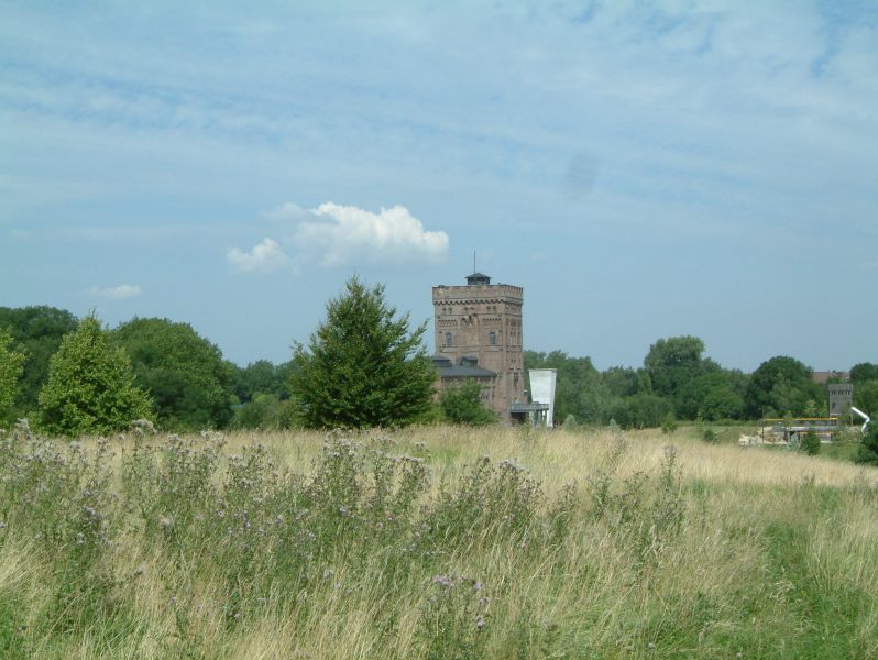 DSCF0025.JPG