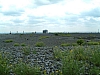 DSCF0014.JPG