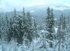 S_Schneekoppe02-2005.0042.JPG