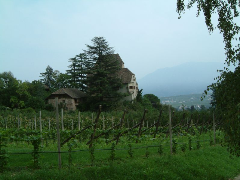 DSCF0054.JPG