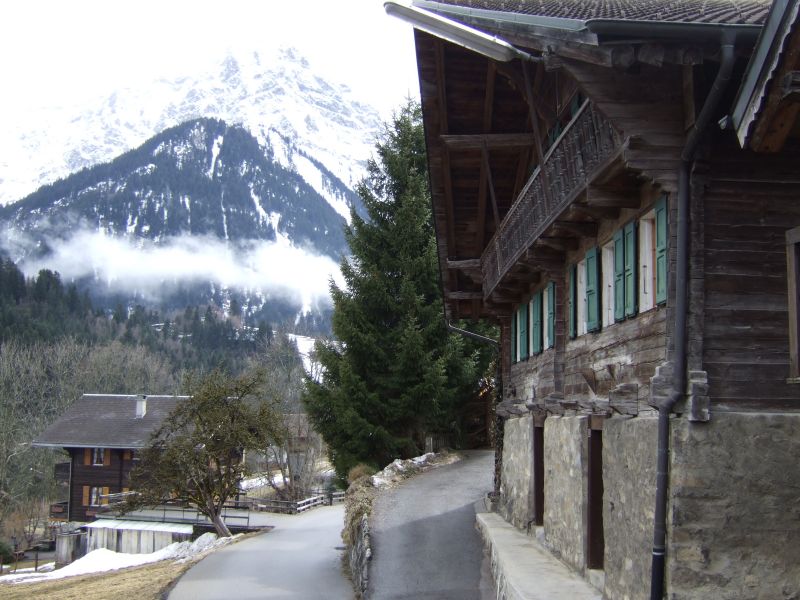 DSCF0375.JPG