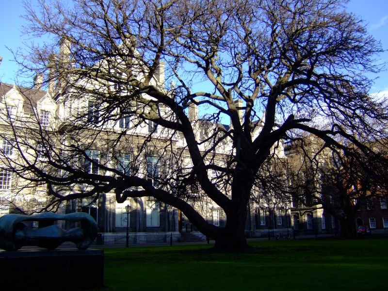 DSCF2885.JPG