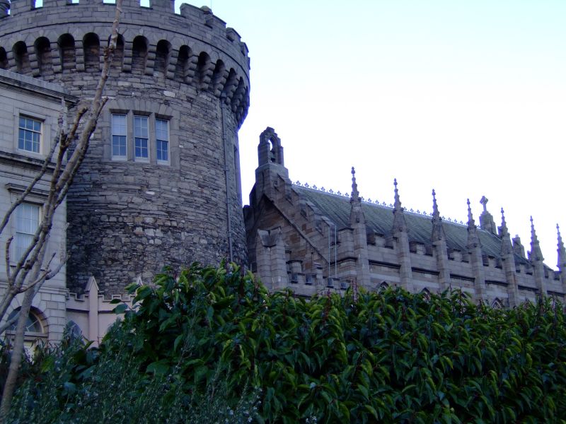 DSCF2895.JPG