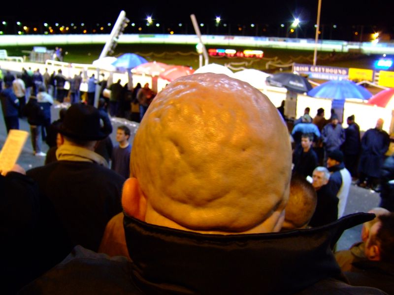 DSCF2955.JPG