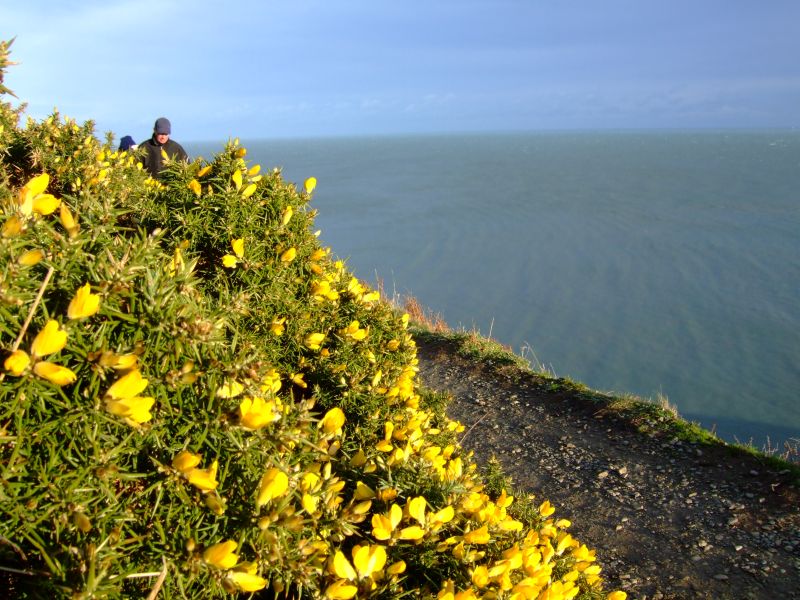DSCF3049.JPG