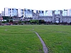 DSCF2894.JPG