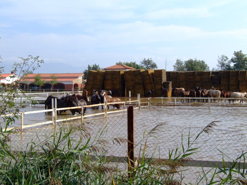 Katalonien2006_0077-0001.JPG