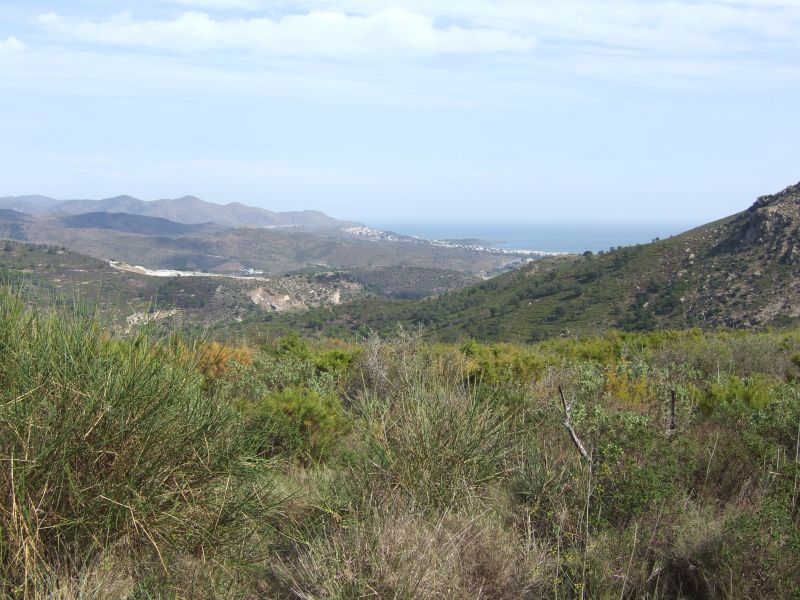 Katalonien2006_0222-0001.JPG