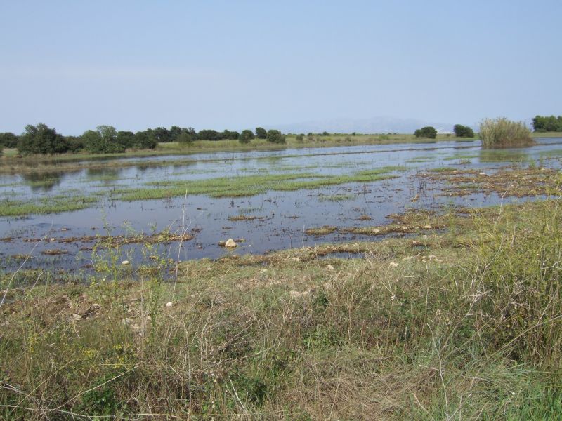 Katalonien2006_0268-0001.JPG