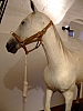 Katalonien2006_0151-0001.JPG