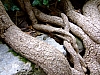 Katalonien2006_0164-0001.JPG