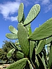 Katalonien2006_0205-0001.JPG