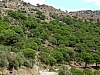 Katalonien2006_0229-0001.JPG