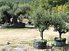 Katalonien2006_0241-0001.JPG
