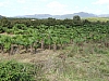 Katalonien2006_0252-0001.JPG