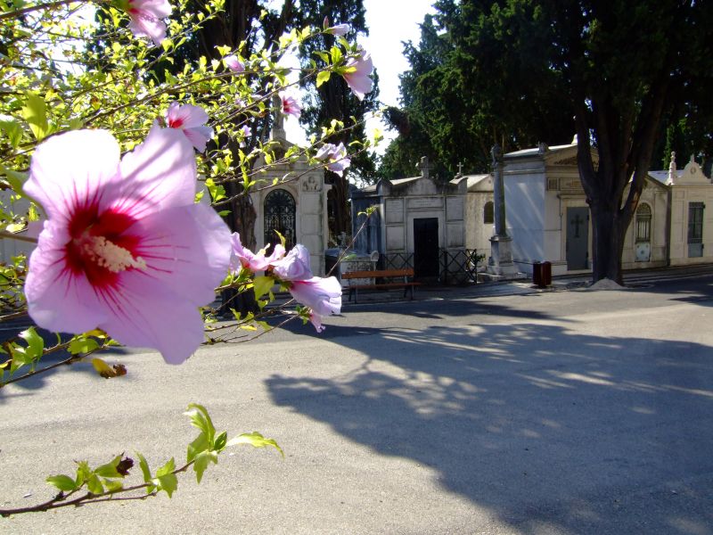 DSCF2579.JPG