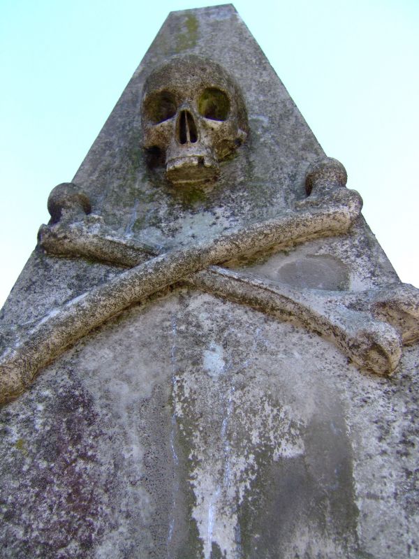 DSCF2584.JPG