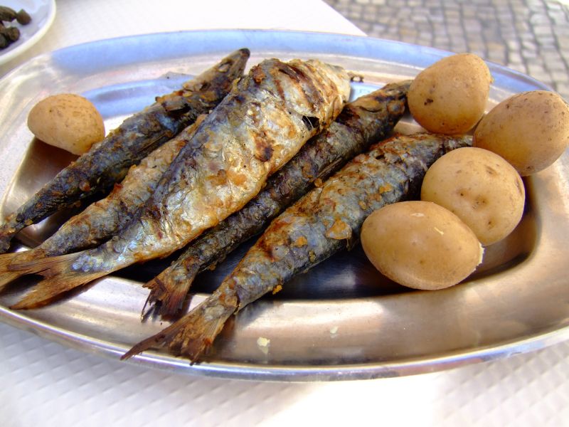 DSCF2591.JPG