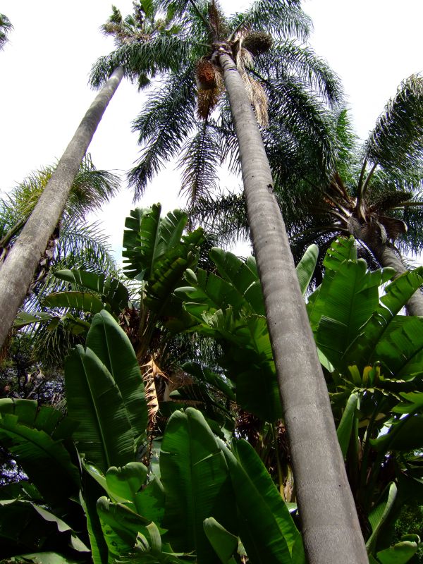 DSCF2658.JPG