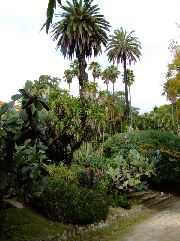 DSCF2665.JPG