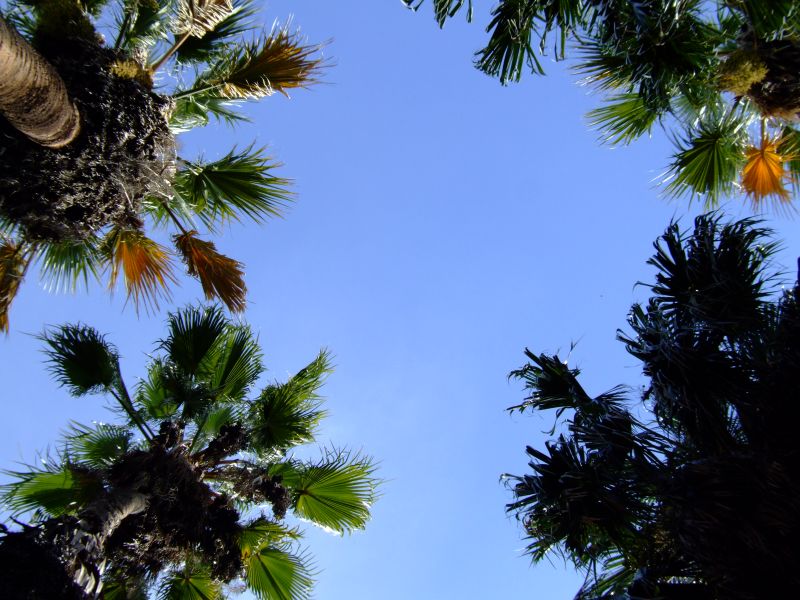 DSCF2669.JPG