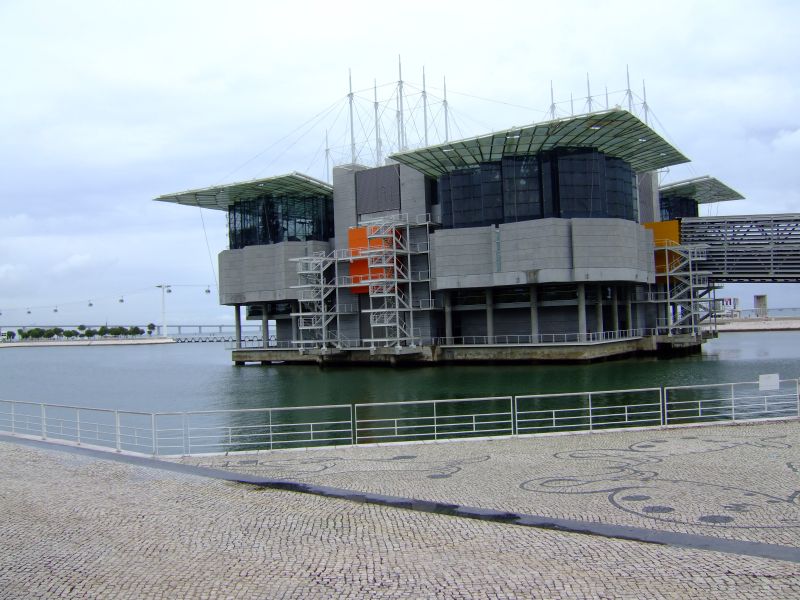 DSCF2724-1.JPG