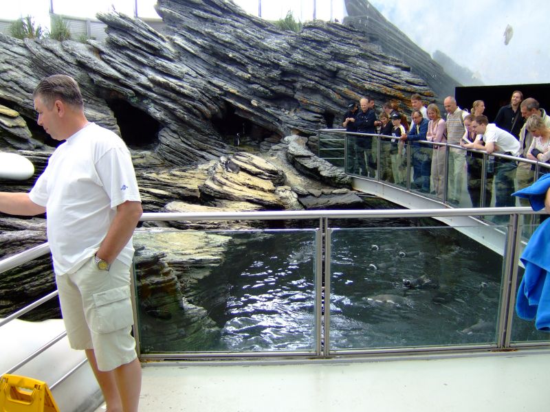 DSCF2726.JPG