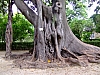 DSCF2641.JPG