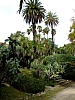 DSCF2665.JPG