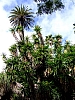 DSCF2666.JPG
