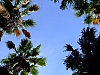 DSCF2669.JPG