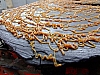 DSCF2679.JPG