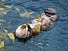 DSCF2740.JPG