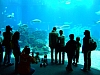 DSCF2747.JPG