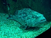 DSCF2777.JPG